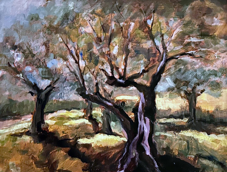 Olive grove at Cap d’Antibes, acrylic on canvas, 17x13
